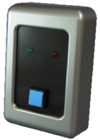 ���������֕\�������v